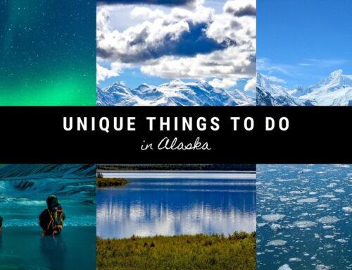 Unique Things to Do in Alaska