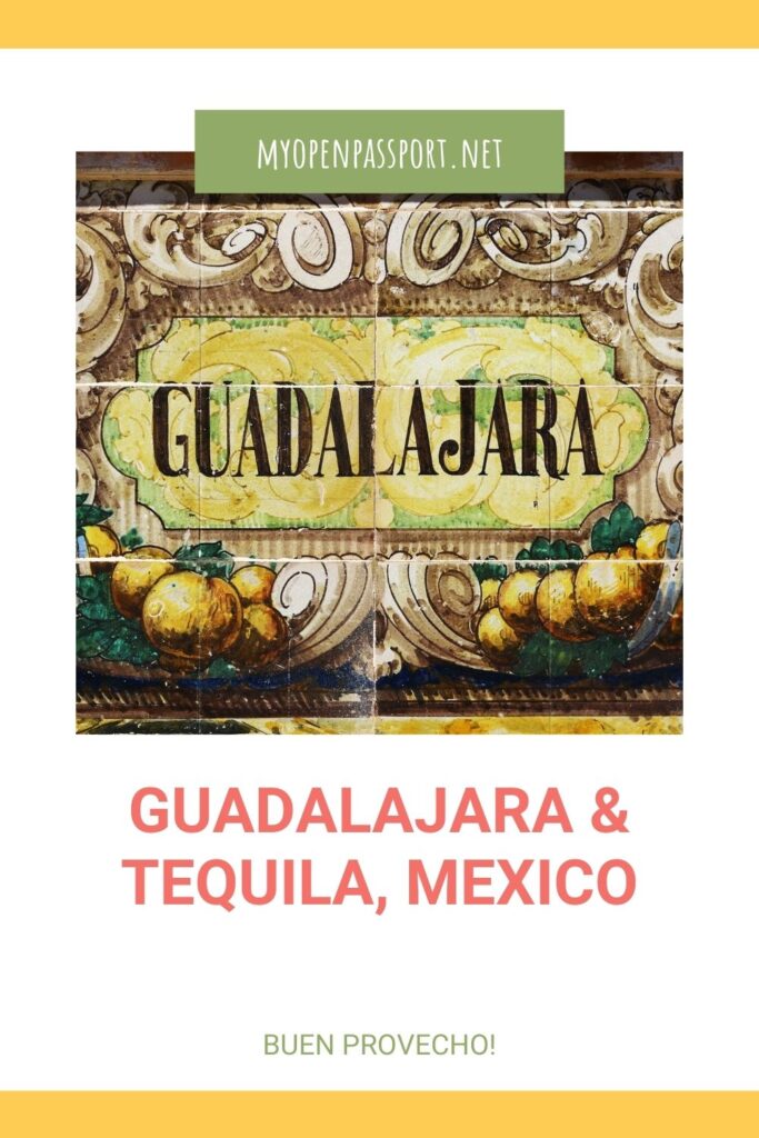 Guadalajara pin 
