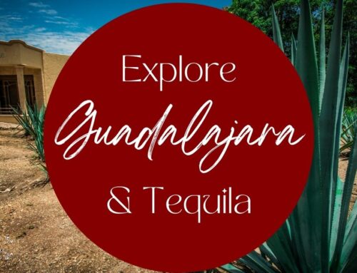 Explore Guadalajara & Tequila