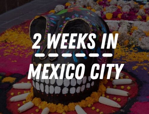 2 Weeks in Mexico City