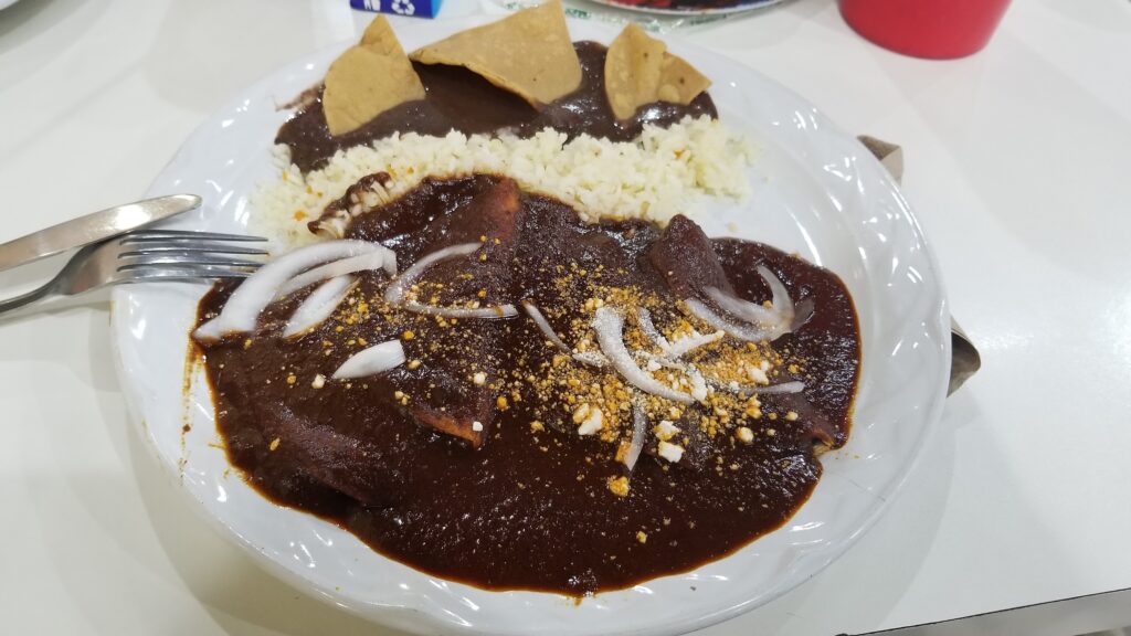Mole sauce over enchiladas as a food to eat in Mexico