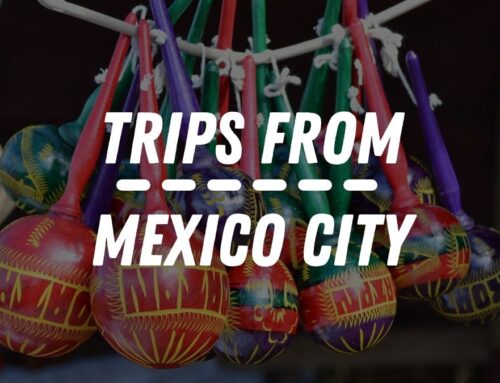 Trips From Mexico City